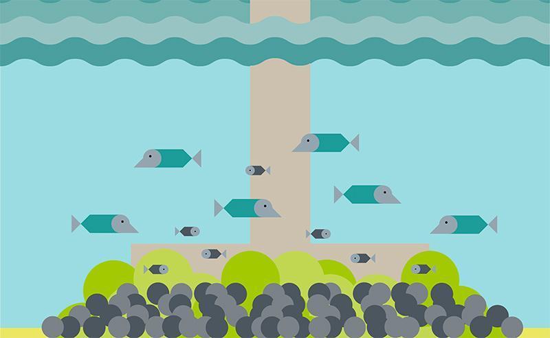 Echo Marsh